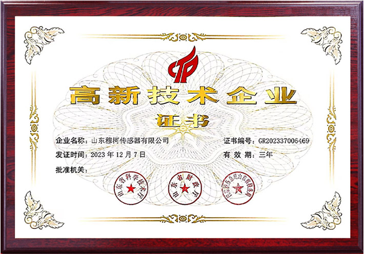 Shandong Moncee Sensor Co., Ltd