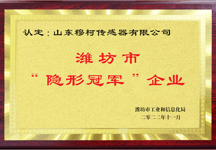Shandong Moncee Sensor Co., Ltd